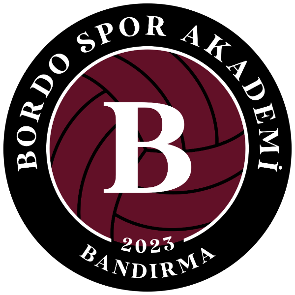 Bordo Akademi Logo